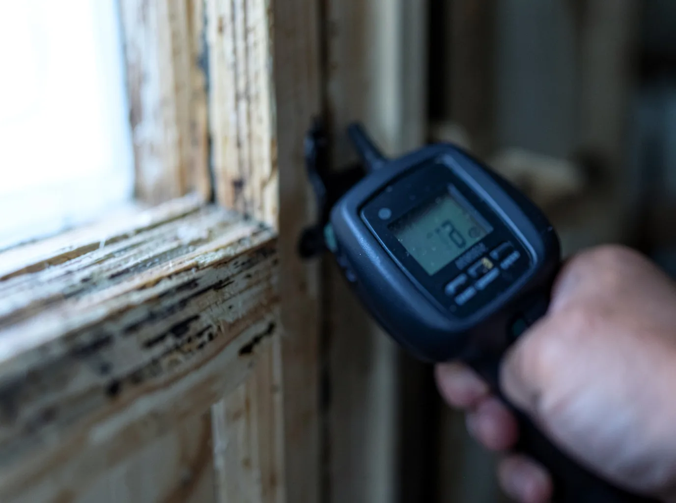 Moisture Inspection And Documentation in Concepcion, TX
